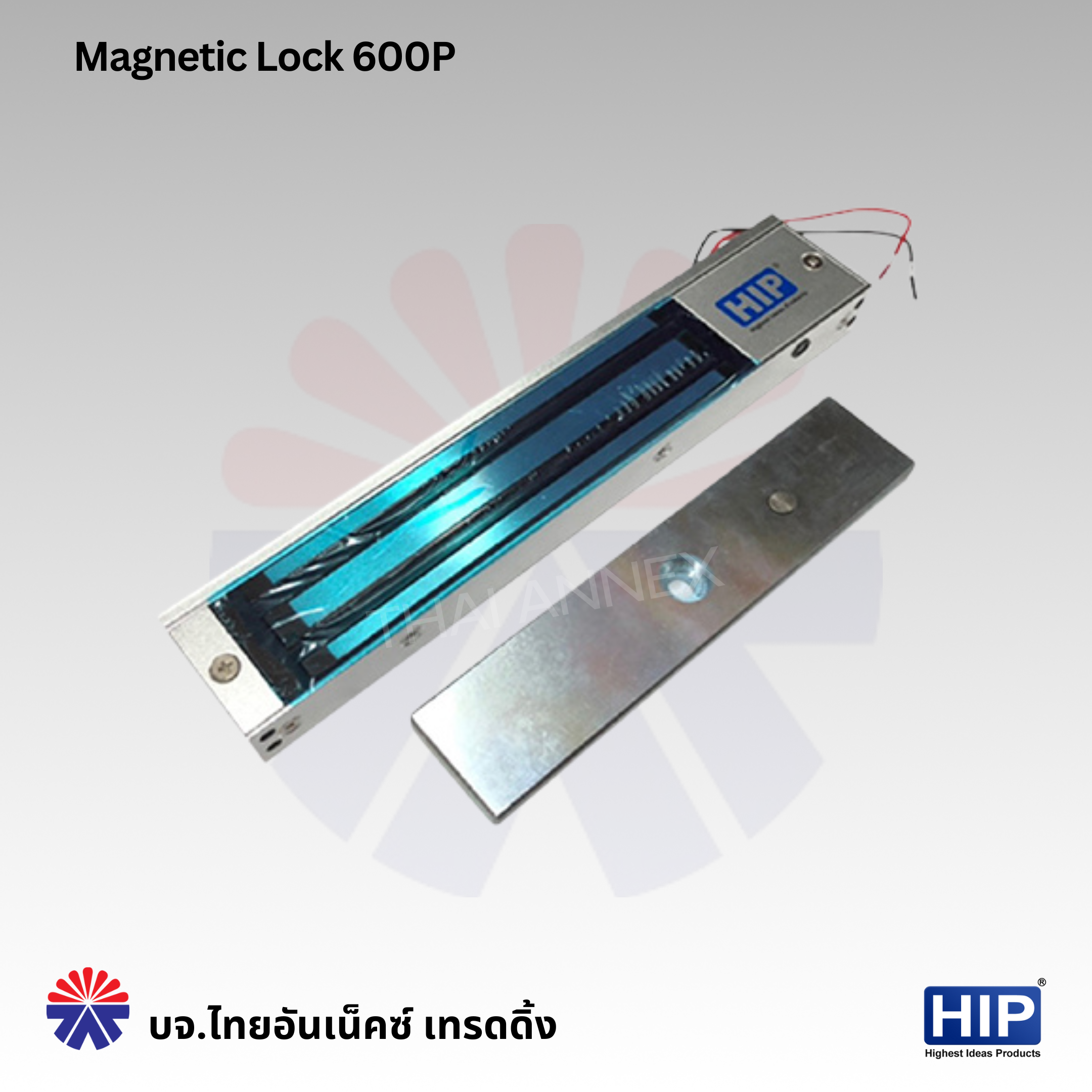 Magnetic Lock 600P